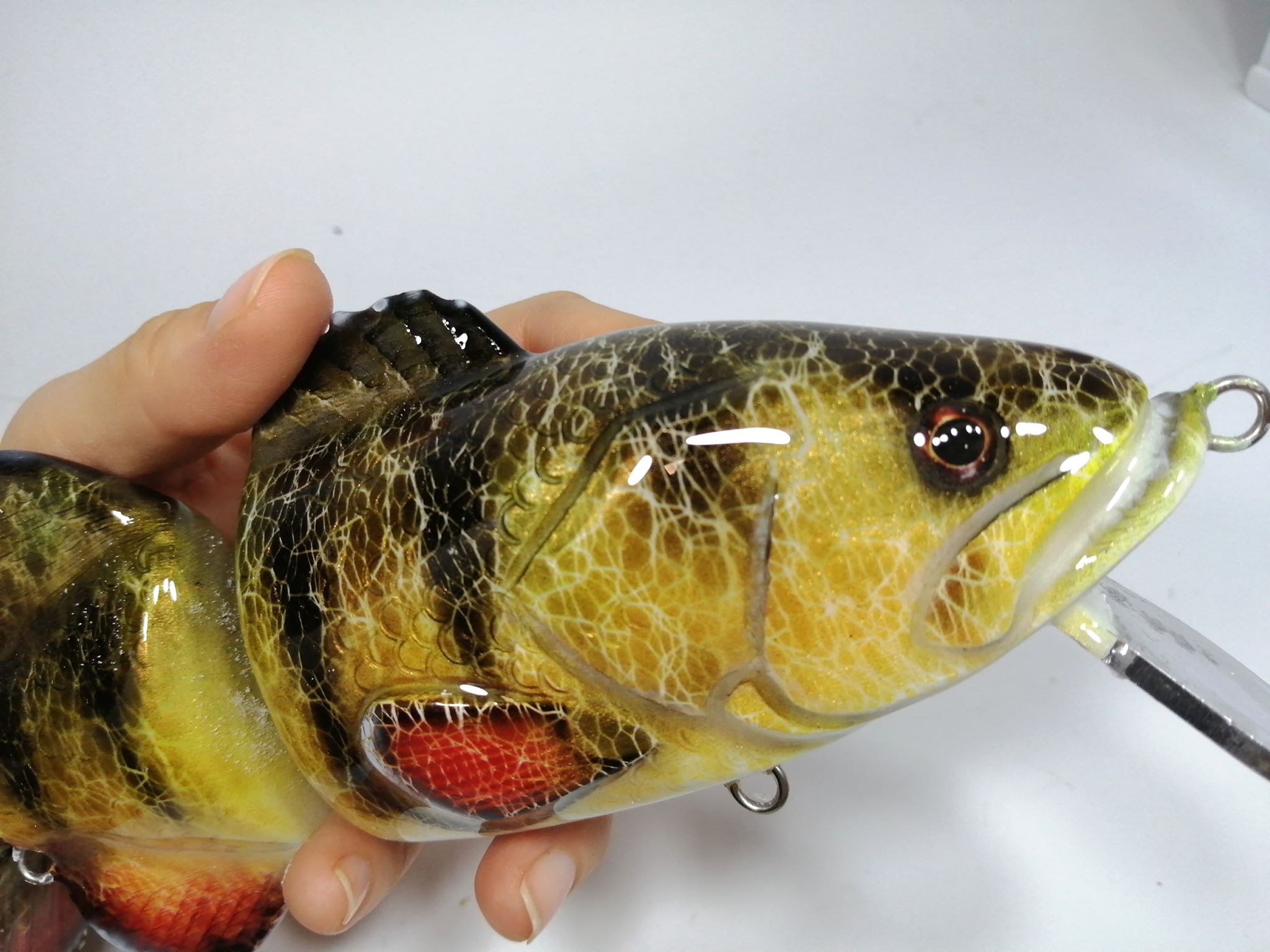 megalures-Fatboy-Jr-Orange-Belly-Perch