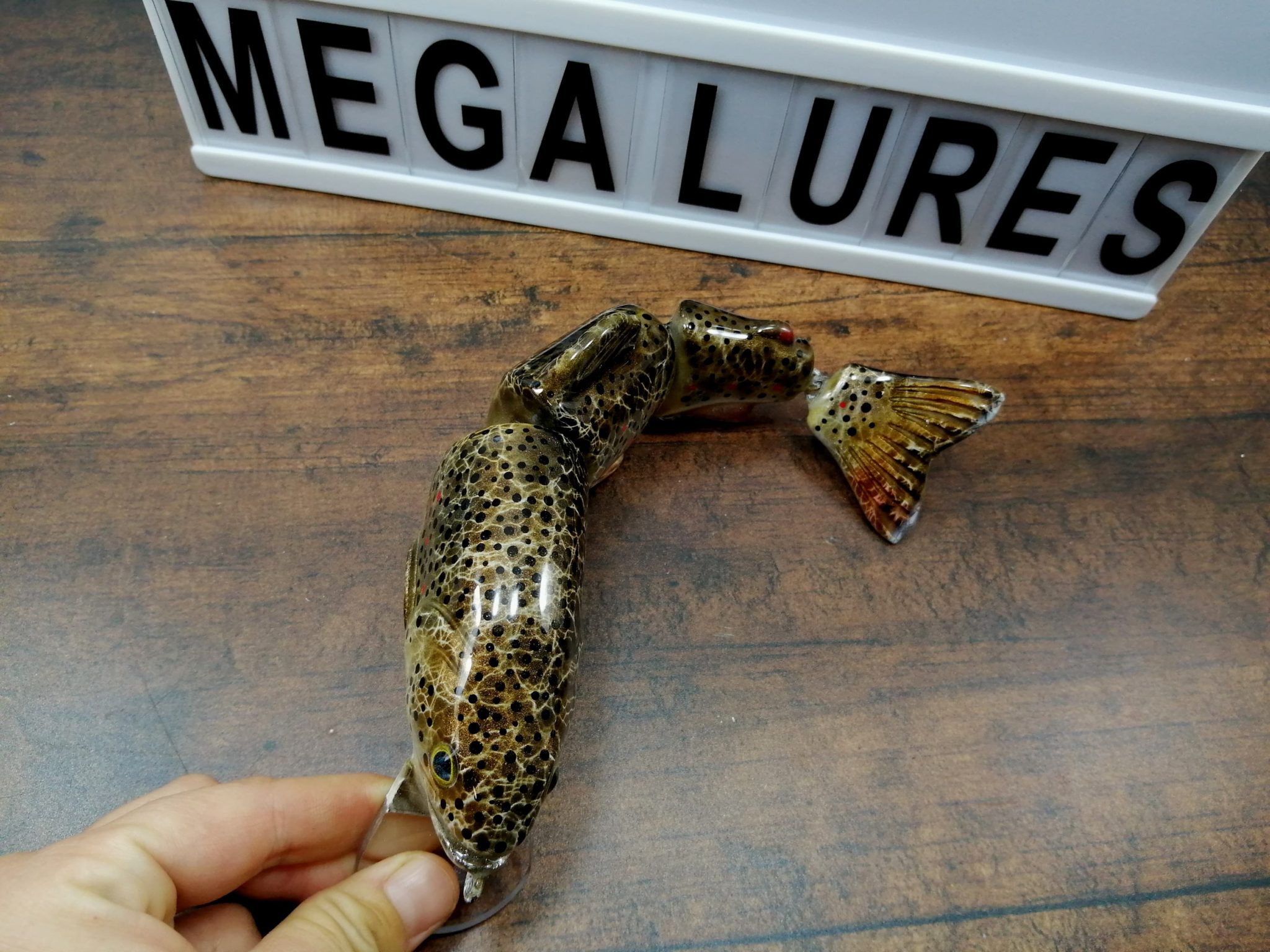 9in Mega Brown Trout - Image 5