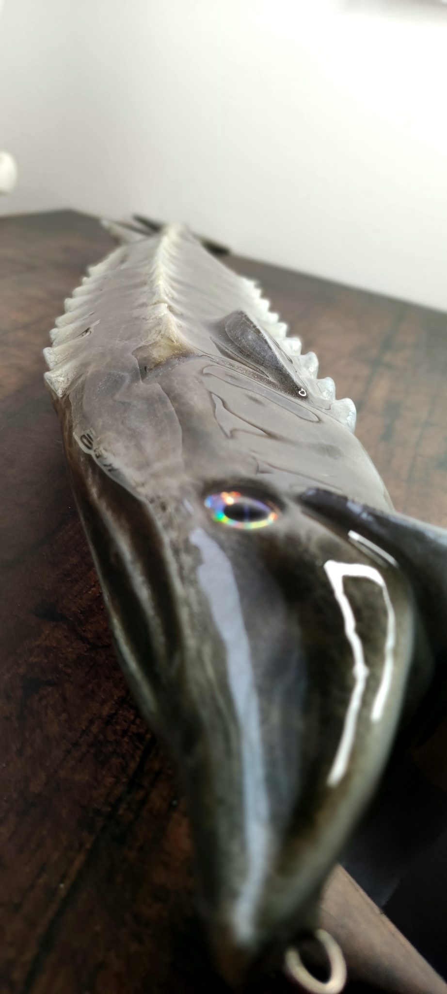 Sturgeon 35in - Image 3