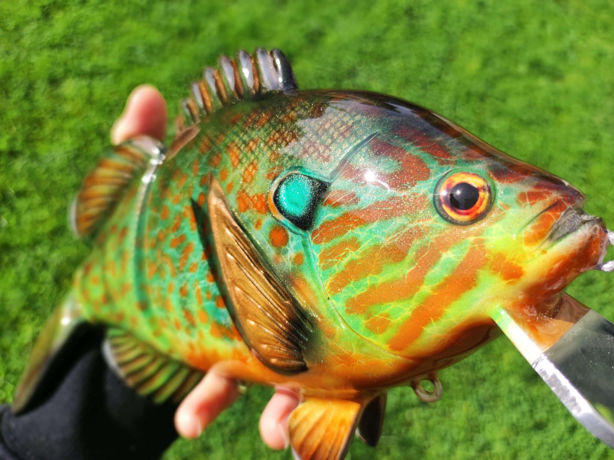 10in Mega Bluegill - Image 3