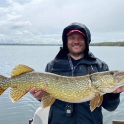 Large Lures in Brackish Water