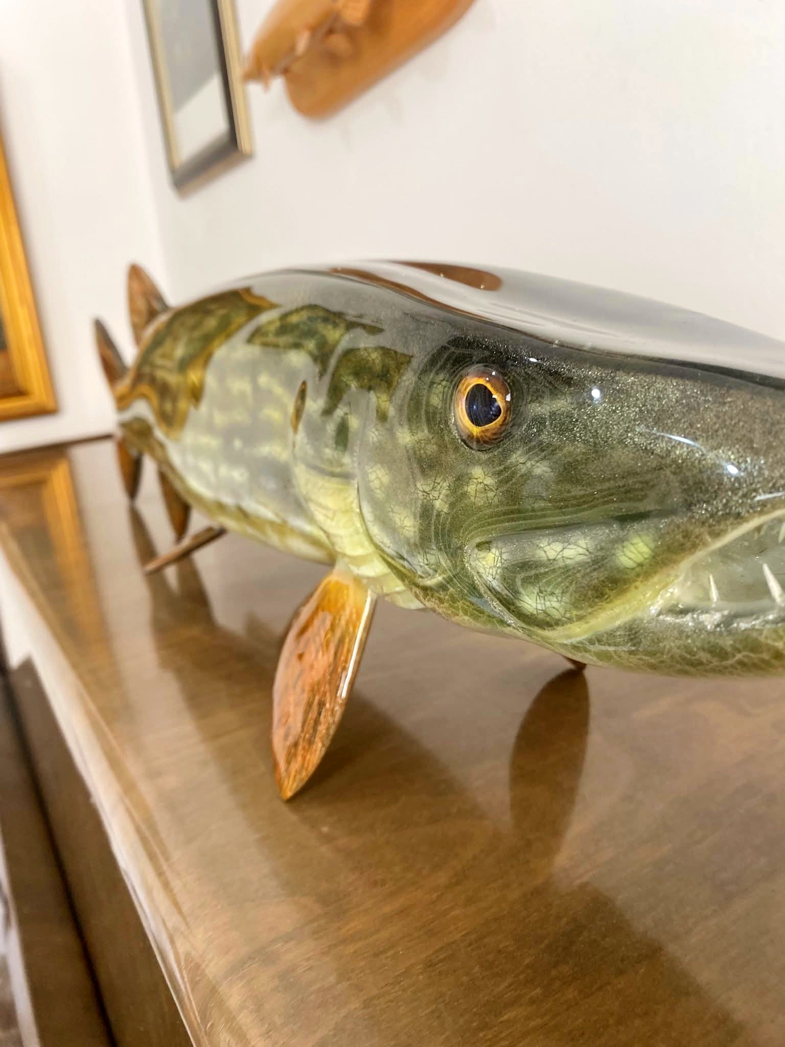 Mega Pike 30in -75cm - Image 4