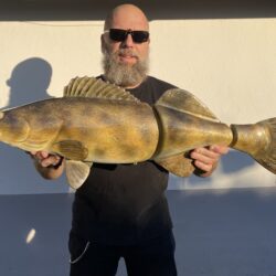 Walleye Mega Lures