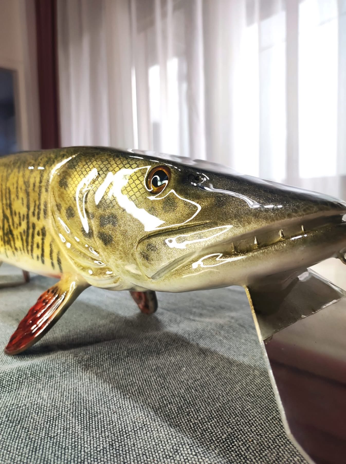Mega Musky 31in - Image 5
